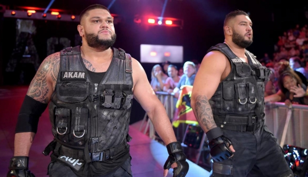 Authors of Pain de retour en WWE Live Event