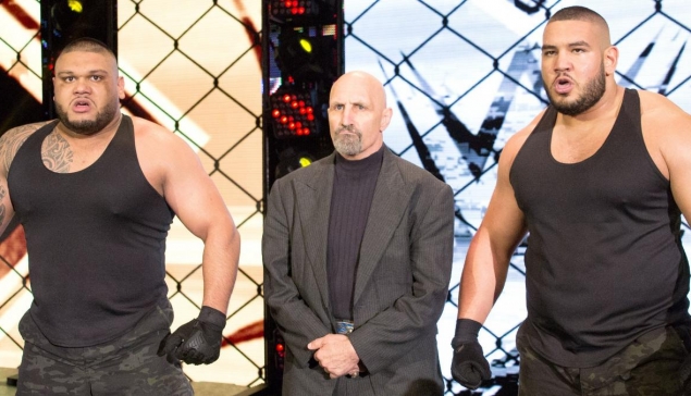 Paul Ellering de retour aux côtés des AOP ?