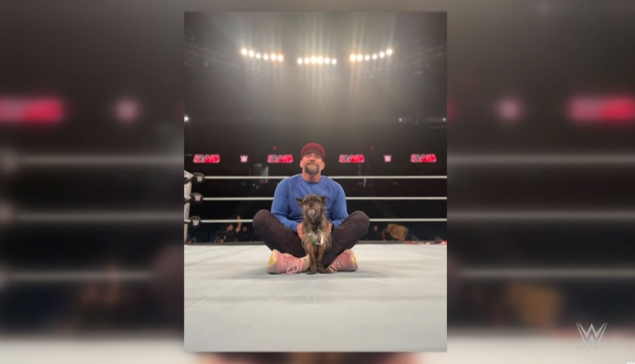 Apprenez-en plus sur Larry le chien de CM Punk